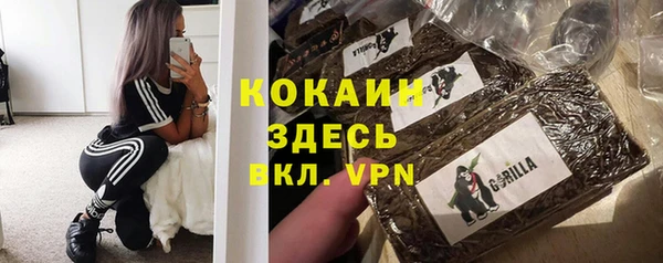 мдпв Инсар