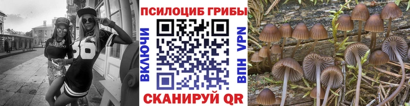 Псилоцибиновые грибы мухоморы  Петухово 